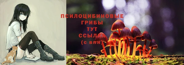 a pvp Михайлов